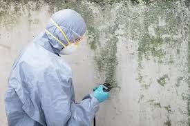 Harlan, KY Mold Removal & Remediation Company